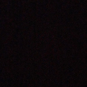 Meet your Posher, Bella